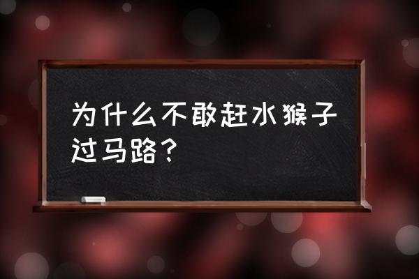 小猴怎么过马路 为什么不敢赶水猴子过马路？