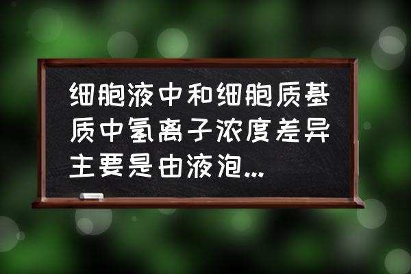 植物细胞质膜透性测定实验结果 细胞液中和细胞质基质中氢离子浓度差异主要是由液泡膜上的什么来维持？