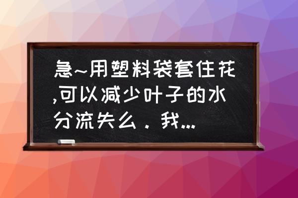 如何在日常生活中减少塑料袋使用 急~用塑料袋套住花,可以减少叶子的水分流失么。我刚移栽了花，叶子蔫蔫的，想套上塑料袋，又怕捂坏植物？