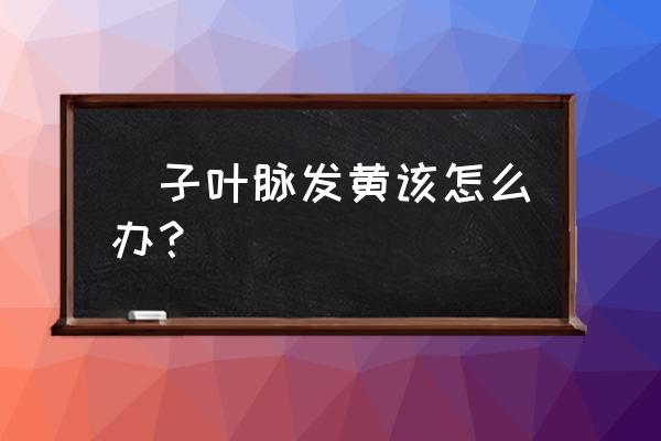 栀子花叶黄了补救措施 枙子叶脉发黄该怎么办？