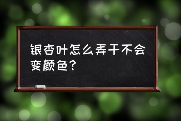 白果树叶怎么做效果最好 银杏叶怎么弄干不会变颜色？