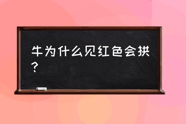 牛会无缘无故攻击人吗 牛为什么见红色会拱？