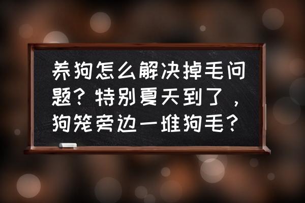 夏天掉头发特别厉害怎么回事 养狗怎么解决掉毛问题？特别夏天到了，狗笼旁边一堆狗毛？