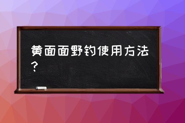 自制小黄面钓鱼饵料配方 黄面面野钓使用方法？