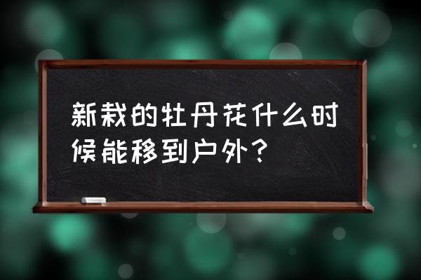 过年牡丹开过花怎么处理 新栽的牡丹花什么时候能移到户外？