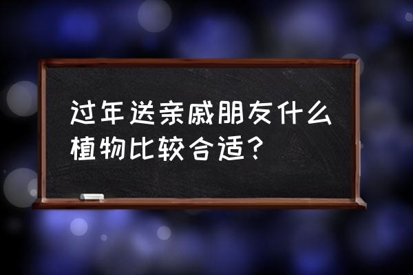 去花市买什么花比较好 过年送亲戚朋友什么植物比较合适？