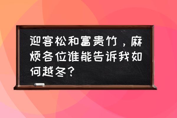 植物有什么过冬妙招 迎客松和富贵竹，麻烦各位谁能告诉我如何越冬？