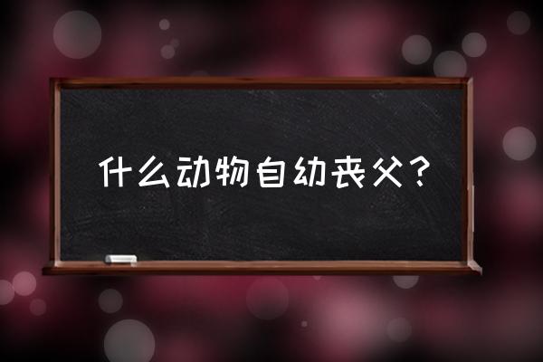 螳螂怀孕为什么要吃掉公螳螂 什么动物自幼丧父？