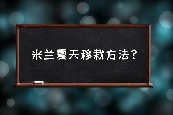 米兰的种植方法和注意事项 米兰夏天移栽方法？