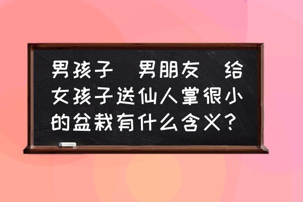 仙人掌小盆栽 男孩子（男朋友）给女孩子送仙人掌很小的盆栽有什么含义？