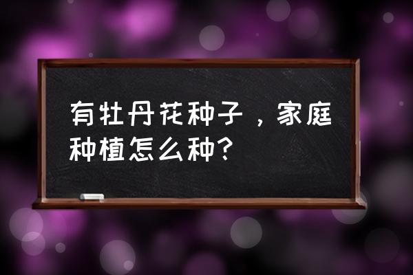 长寿花种子能在家种吗 有牡丹花种子，家庭种植怎么种？