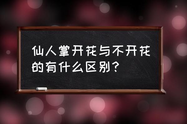 简笔画仙人掌仙人球 仙人掌开花与不开花的有什么区别？