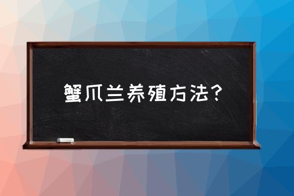 新手养蟹爪兰的正确方法 蟹爪兰养殖方法？