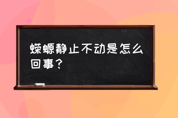 大顽皮蝾螈怎么才能下水 蝾螈静止不动是怎么回事？