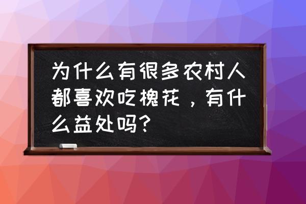 木槿花怎么吃及禁忌 为什么有很多农村人都喜欢吃槐花，有什么益处吗？