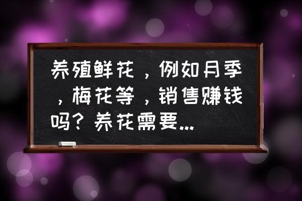 想开个鲜花店需要些什么条件 养殖鲜花，例如月季，梅花等，销售赚钱吗？养花需要注意哪些事项？投多少钱？