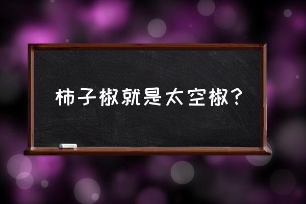 太空食品购买 柿子椒就是太空椒？