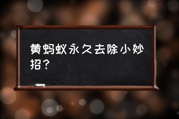 家里小小的黄蚂蚁怎么彻底清除 黄蚂蚁永久去除小妙招？