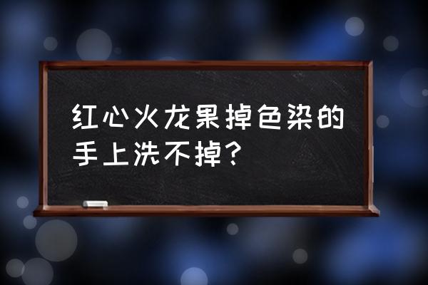 手上染上了色素洗不掉 红心火龙果掉色染的手上洗不掉？