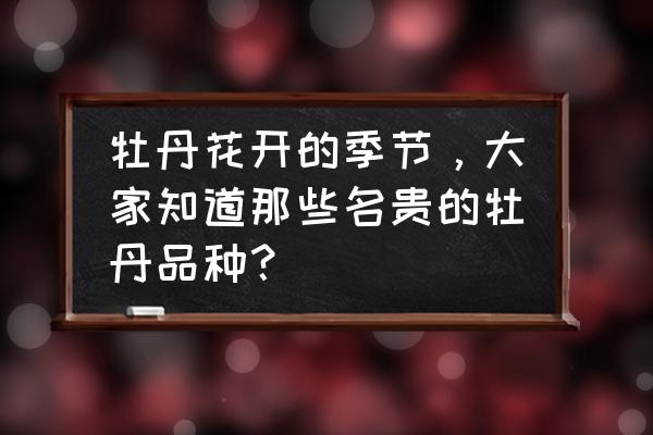 鏖战襄阳红装攻略 牡丹花开的季节，大家知道那些名贵的牡丹品种？