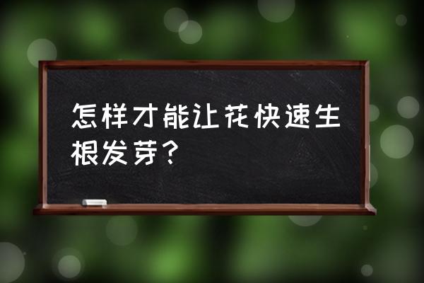 促进花卉枝条发芽的方法有哪些 怎样才能让花快速生根发芽？