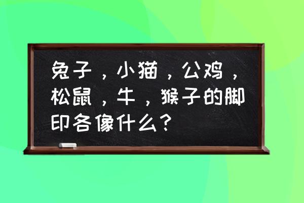 动物上下左右前后怎么画 兔子，小猫，公鸡，松鼠，牛，猴子的脚印各像什么？