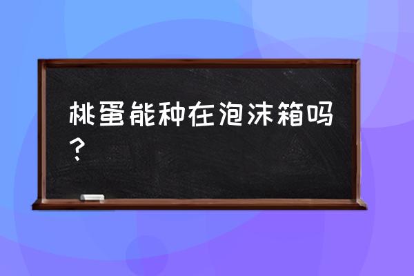 桃蛋怎么快速叶插容易成功 桃蛋能种在泡沫箱吗？