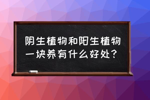 阴生植物和阳生植物有哪些 阴生植物和阳生植物一块养有什么好处？