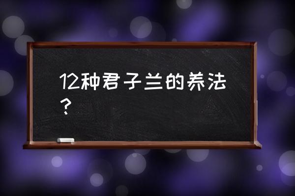 冬天君子兰用什么肥料最好 12种君子兰的养法？