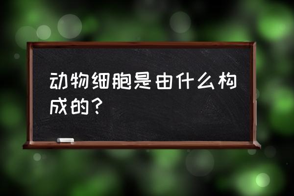 初一学生做的最简单动物细胞模型 动物细胞是由什么构成的？