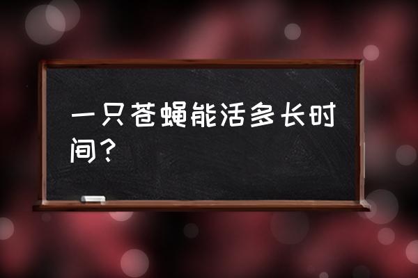 一个苍蝇的一辈子 一只苍蝇能活多长时间？