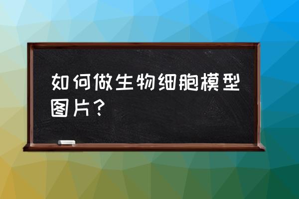 初一自制生物模型 如何做生物细胞模型图片？