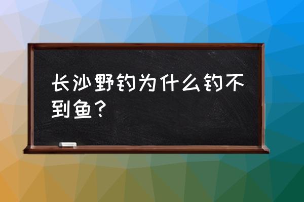 湘江钓草鱼怎么钓 长沙野钓为什么钓不到鱼？