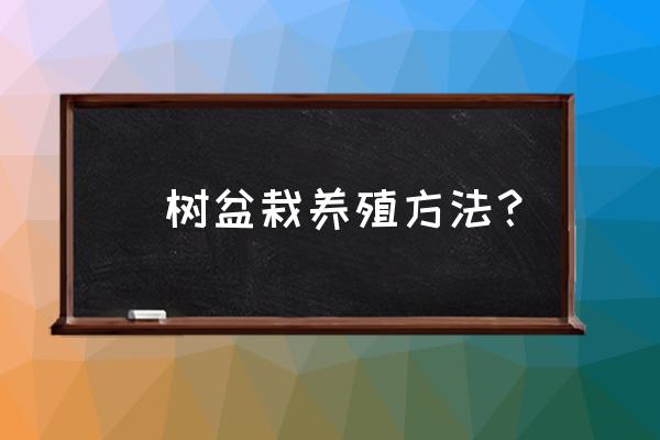 霸王鞭盆栽养殖方法和注意事项 樒树盆栽养殖方法？