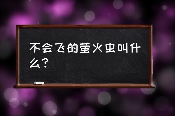 萤火虫幼虫怎么判断死活 不会飞的萤火虫叫什么？