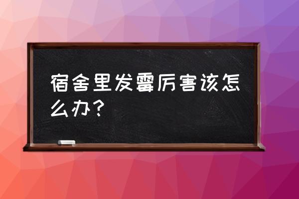 宿舍太潮湿东西发霉了怎么办 宿舍里发霉厉害该怎么办？