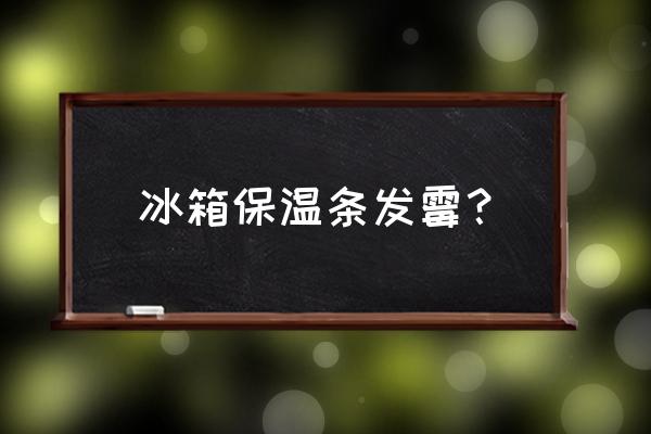 冰箱门密封条发霉怎么处理 冰箱保温条发霉？