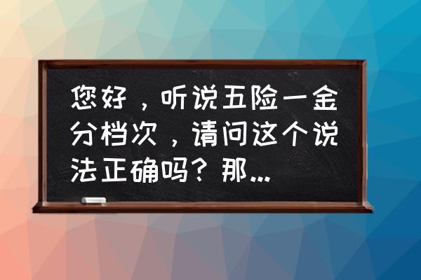 河北五险一金最低标准是多少钱 您好，听说五险一金分档次，请问这个说法正确吗？那共分几个档次呢？每个档次都是什么标准呢？谢谢？