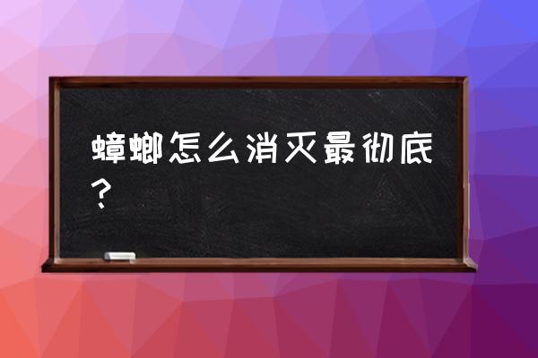 家里蟑螂不多用哪种杀蟑办法 蟑螂怎么消灭最彻底？