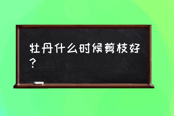 牡丹怎么修枝 牡丹什么时候剪枝好？