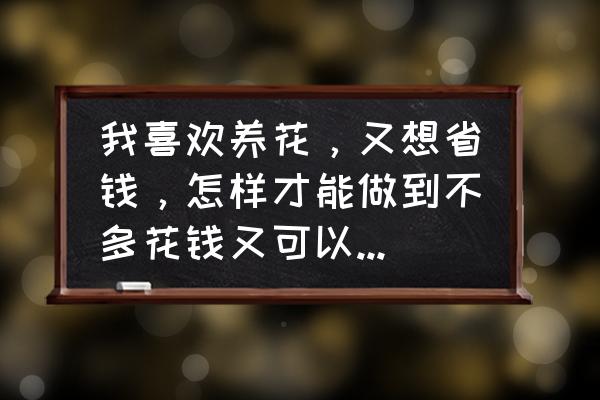 自己养花的最好方法 我喜欢养花，又想省钱，怎样才能做到不多花钱又可以养很多花呢？