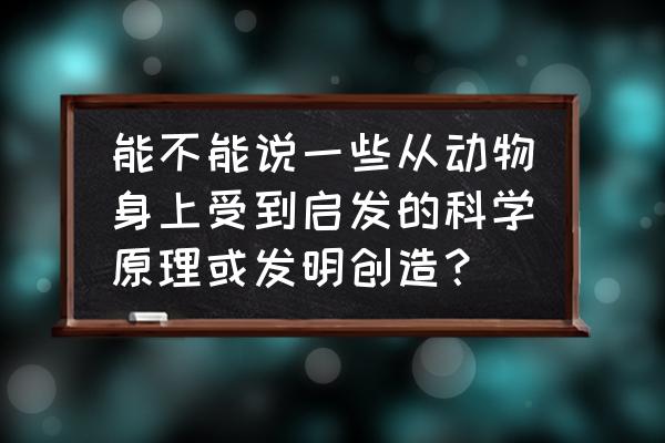 科学家都从哪些动物身上受到启发 能不能说一些从动物身上受到启发的科学原理或发明创造？