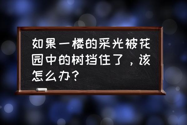 房子周围大树怎么处理 如果一楼的采光被花园中的树挡住了，该怎么办？