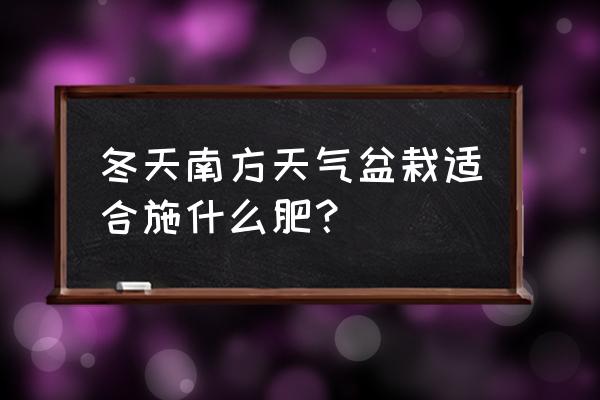 南方室内种什么盆栽植物最好 冬天南方天气盆栽适合施什么肥？