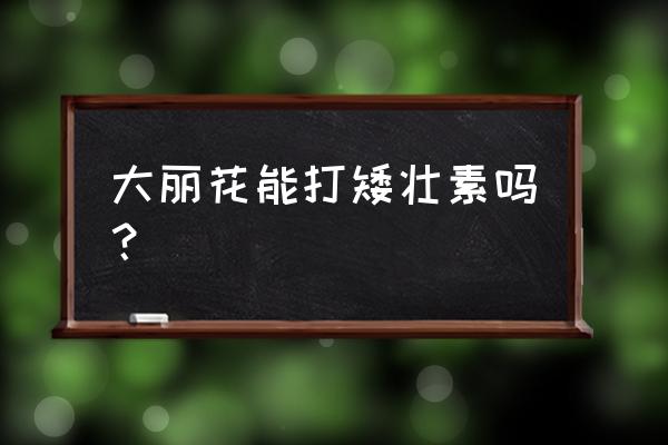 大丽花哪个品种比较矮 大丽花能打矮壮素吗？