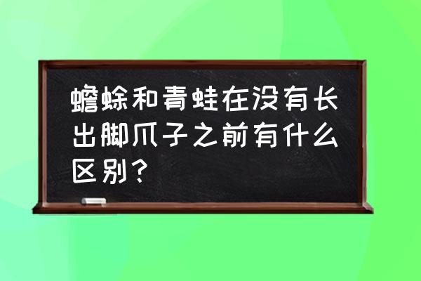 怎么分辨蟾蜍和青蛙 蟾蜍和青蛙在没有长出脚爪子之前有什么区别？