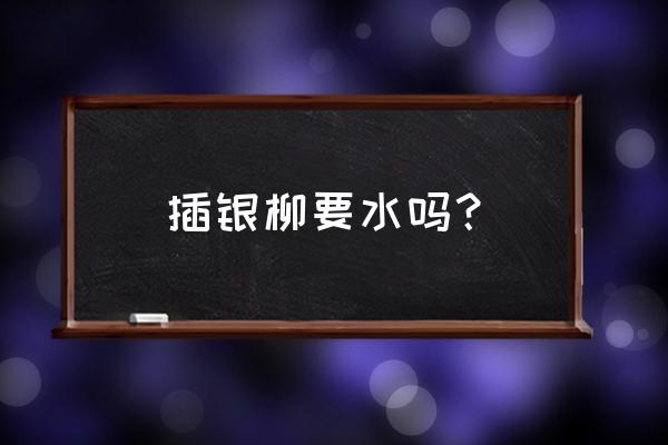 干花生根有什么用处 插银柳要水吗？