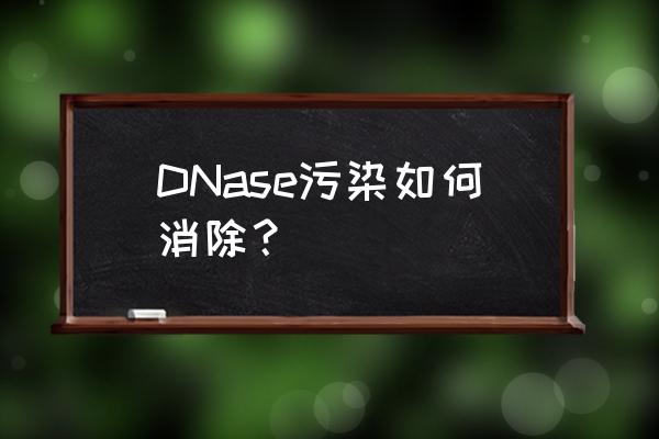 dna提取中获取上清液的方法 DNase污染如何消除？