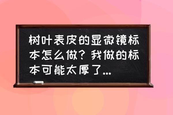 显微镜下细胞结构图怎么画 树叶表皮的显微镜标本怎么做？我做的标本可能太厚了，细胞给重叠了！（有图）？