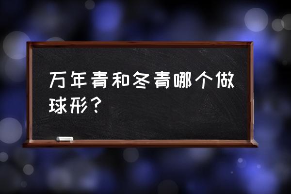 家庭适合种的球形植物有哪些 万年青和冬青哪个做球形？